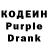 Кодеиновый сироп Lean Purple Drank LaurenNicole