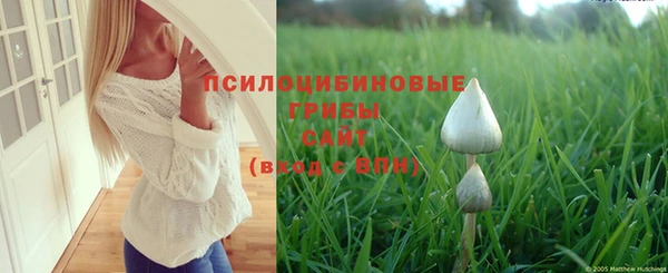 дмт Нея