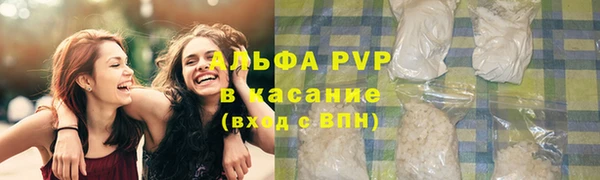 ECSTASY Новозыбков