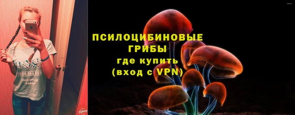 ECSTASY Новозыбков