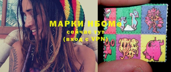 ECSTASY Новозыбков
