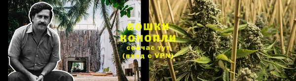 мдпв Новокубанск