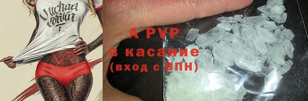 прущие крисы Новодвинск