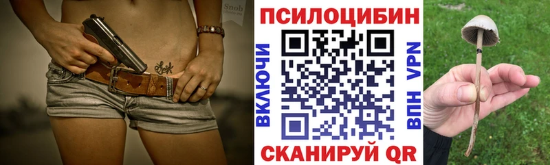 shop клад  Черкесск  Галлюциногенные грибы Cubensis  мега  