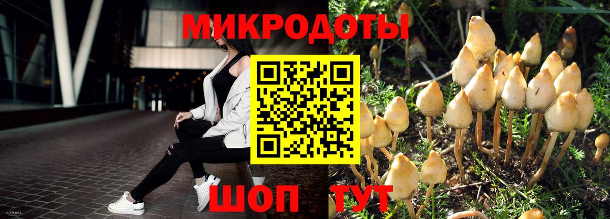 Галлюциногенные грибы Psilocybine cubensis  Галлюциногенные грибы Psilocybe  Черкесск  Вход с VPN 