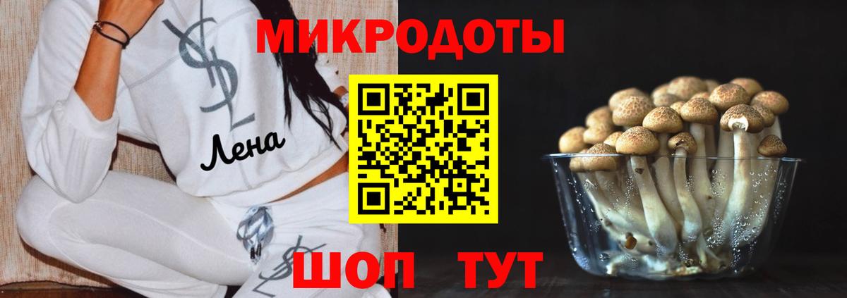 Псилоцибиновые грибы мухоморы Черкесск